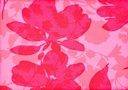 Punto Bloom Fucsia