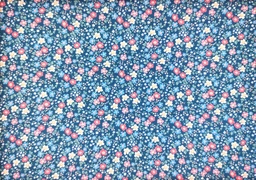 [66756] Viella marino florecita coral azul