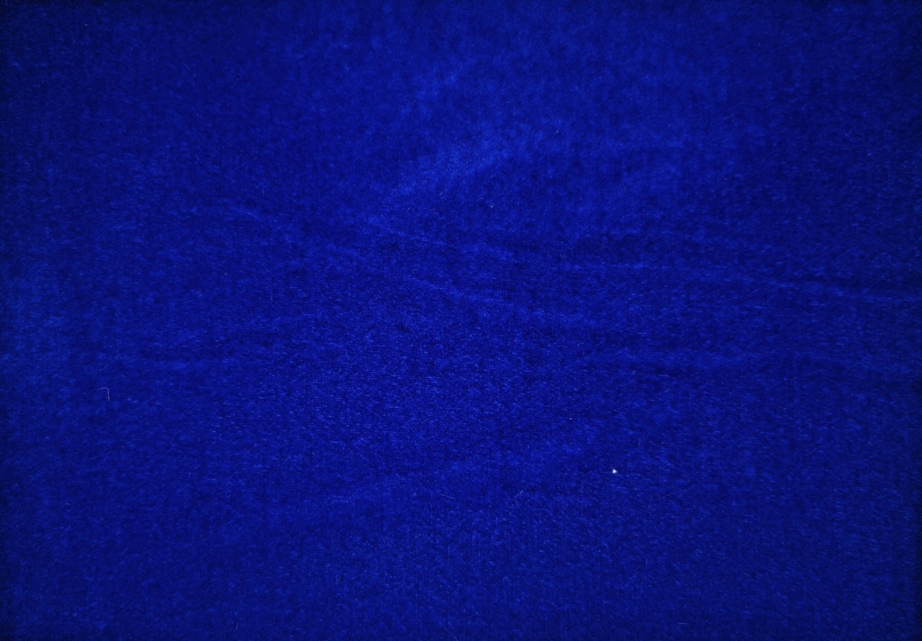 Terciopelo carnaval