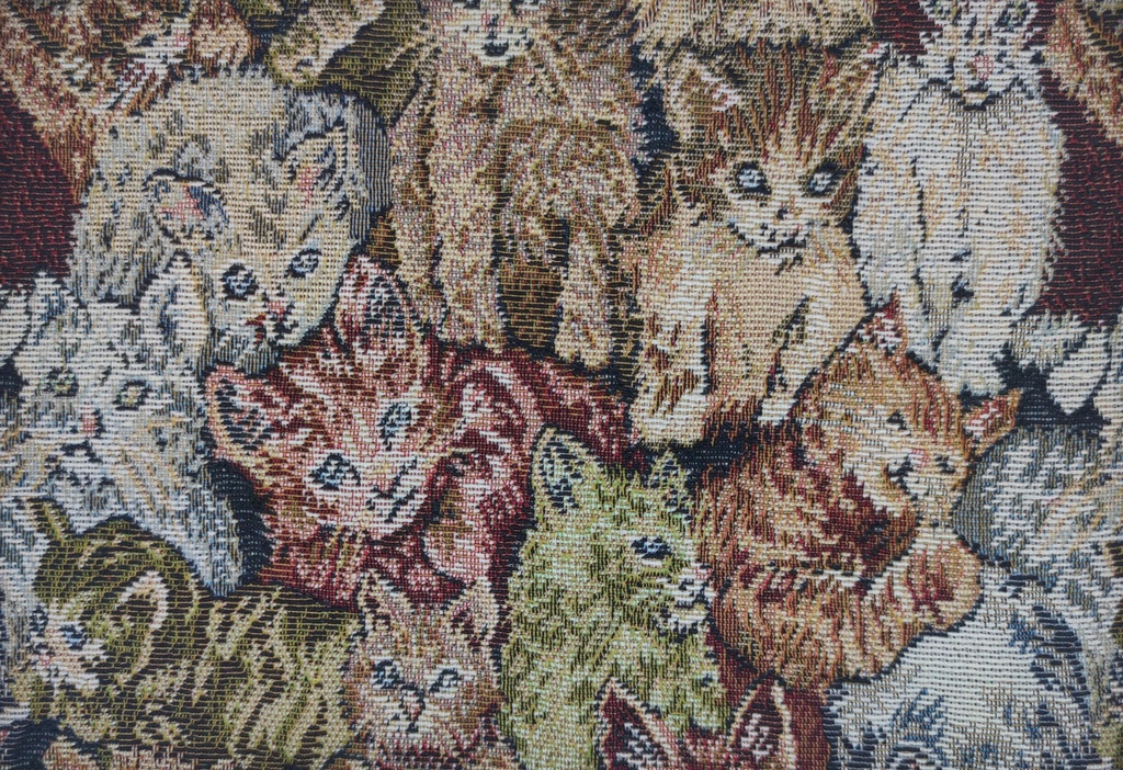 Gobelinos gatos