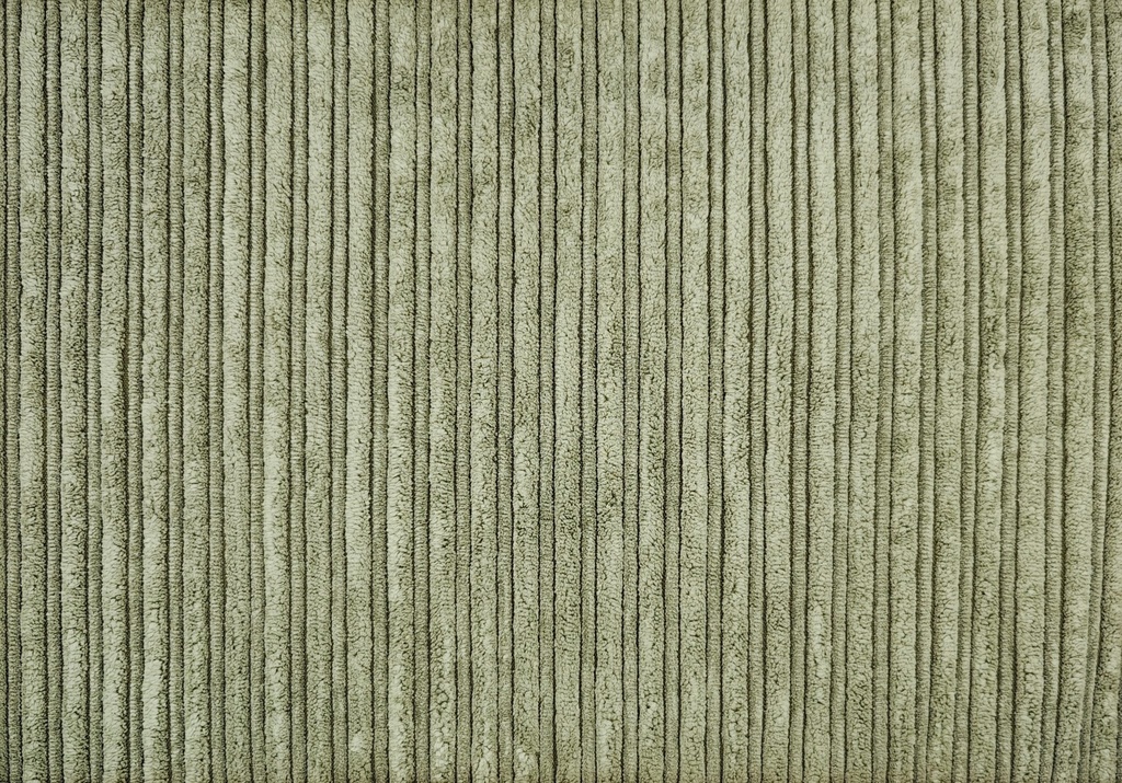 Plantilla tela (copia)