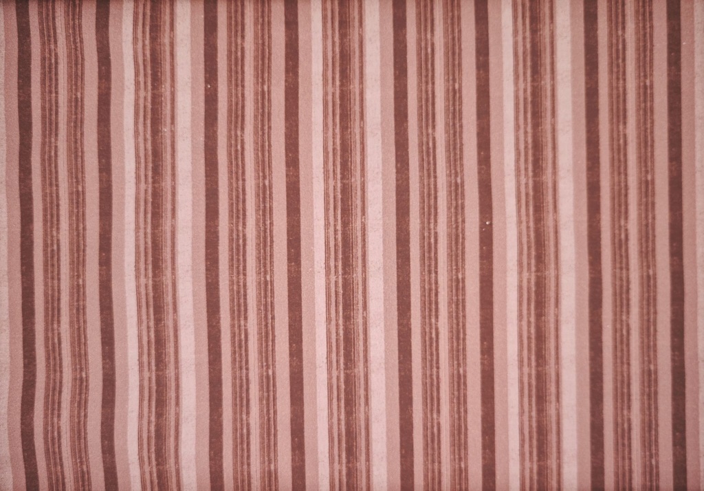 Popelin rayas rosa terracota
