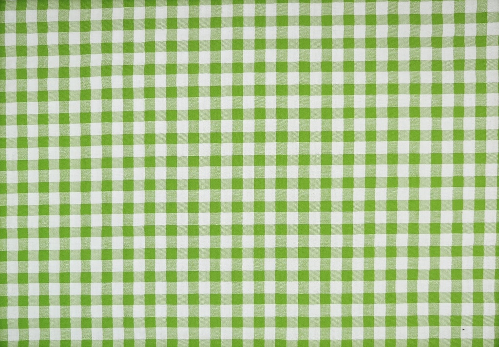 Vichy seersucker verde blanco