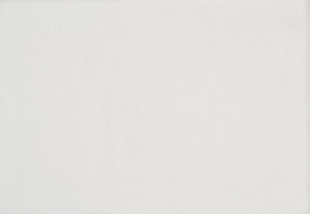 Viscosa pasley fusión (copia)