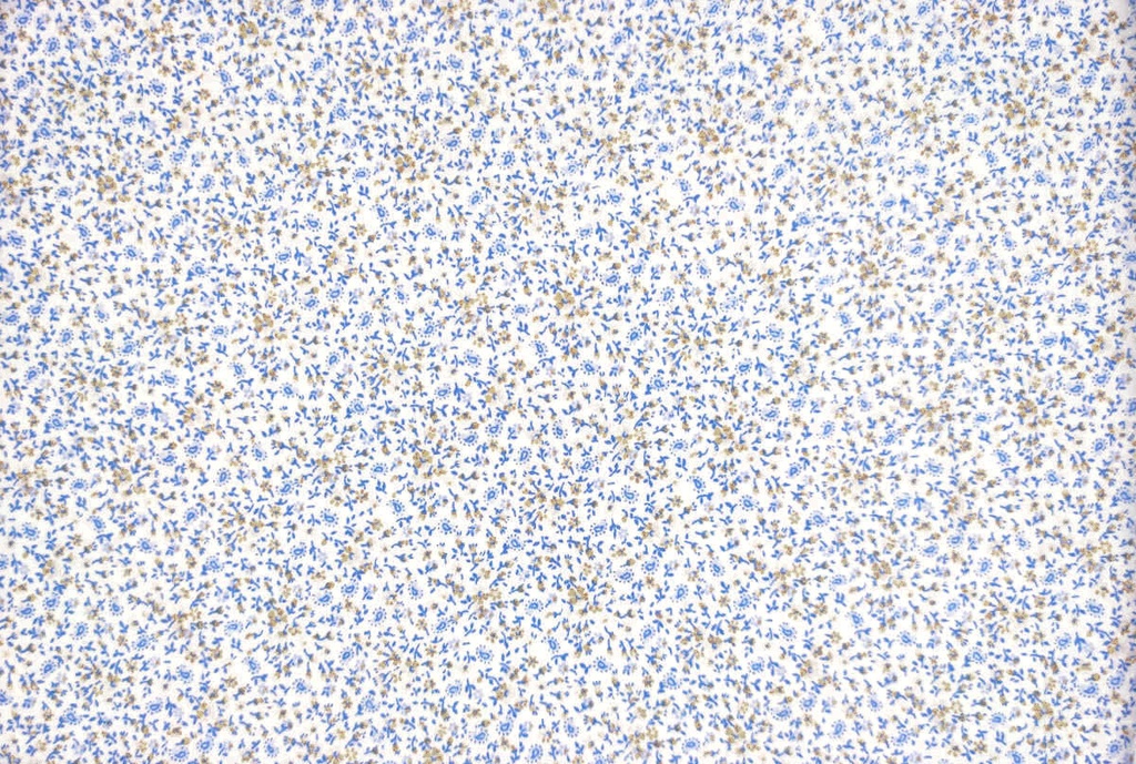 Viella blanca  florecita azul beige
