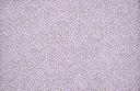 Viella florecitas morado verde