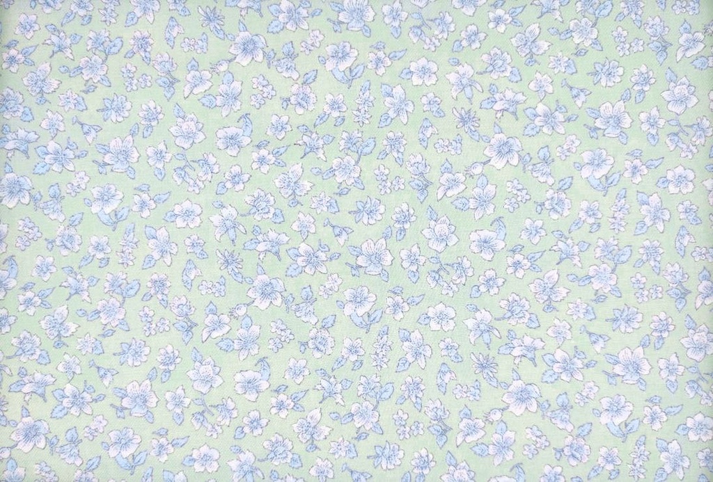 Viella viscosa estp. flores hierba celeste blanco