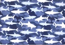Punto sudadera camuflaje tiburones