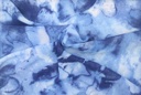 Koshibo difuso azul