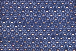 Popelín azul marino con simétricos beige azul celeste