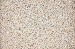 [Po 656 c/53] Viella florecita beige verde agua