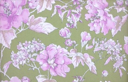 [Po 1312] Viella verde hierba flores lavanda