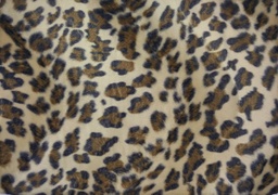 Mutón animal leopardo