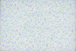 [Tiber 1381 c/2] Viella viscosa estp. flores hierba celeste blanco