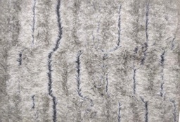 [9322.3] Pelo lomos gris