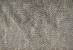 Pelo tejón