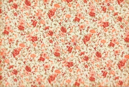 Viella beige flor coral y marrón
