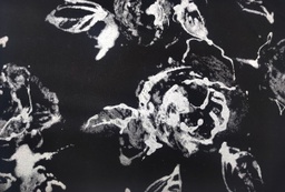 Algodón satinado negro flores plata
