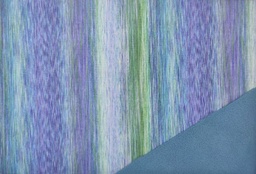 [5369] Softshell rayas azules