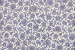 Viella blanca flores pasley azul﻿