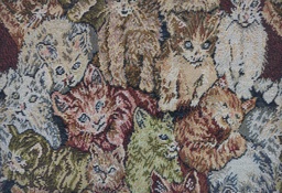 Gobelinos gatos