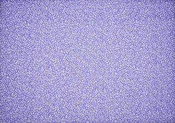 [38803-95986] Popelín lila florecitas blancas