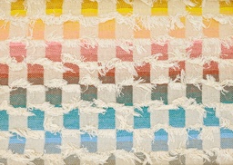 [21921] Vaquero rotos multicolor