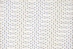 [67358] Rústico 66 azul