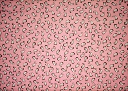 Serker ramitos (copia)