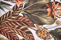 Half panamá celtic vanya 5