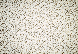 [AC15307] Algodón acolchado vichy / flor